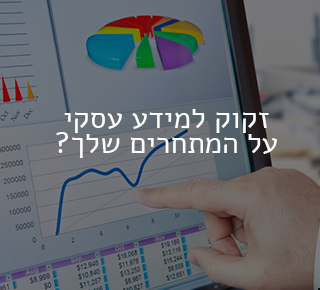 בילוש פרטי